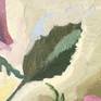 closer look