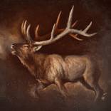 One Life Without End by Shaun Berke