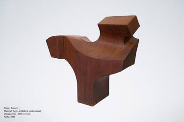 Original Abstract Sculpture by Roberto Canduela