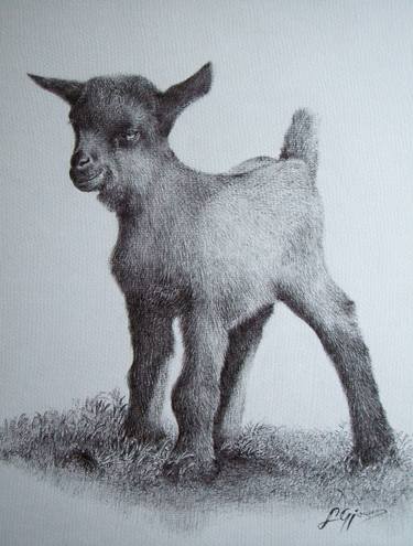 Print of Animal Drawings by Liman Gjakova