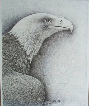 Print of Realism Animal Drawings by Liman Gjakova