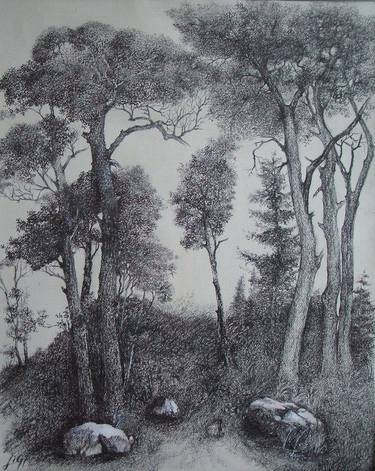 Print of Nature Drawings by Liman Gjakova