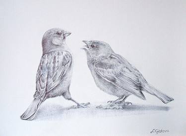 Original Animal Drawings by Liman Gjakova