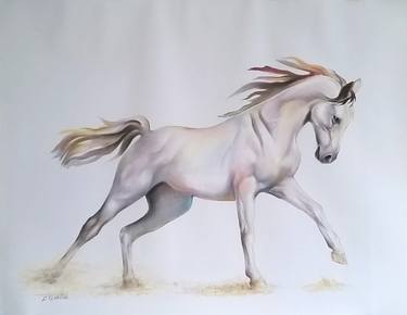 Original Realism Animal Drawings by Liman Gjakova