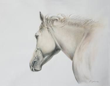 Print of Horse Drawings by Liman Gjakova