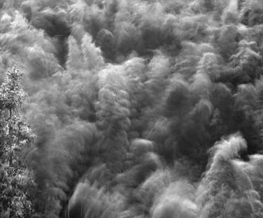 Original Abstract Tree Photography by Jon Wyatt