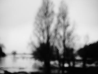 The Sixth Extinction:  Flooded fields, Porthkerry, South Wales.  #1 of 9 thumb