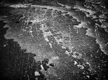 The Sixth Extinction:  Limestone pavements, Marcross, South Wales.  Limited edition  #1 of 9. thumb