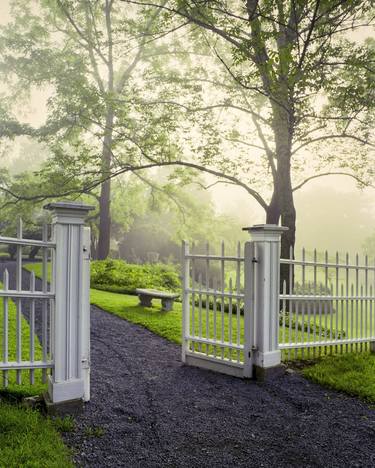 Garden Gate in Fog, Medium Format Film thumb
