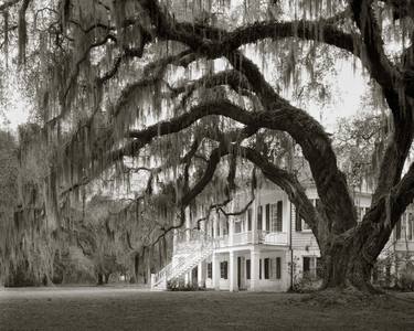 The Manor, Large Format Film thumb