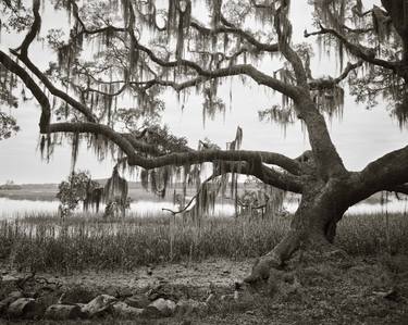 Morning Stretch, Large Format Film thumb