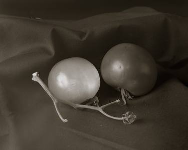 Original Expressionism Still Life Photography by J Riley Stewart