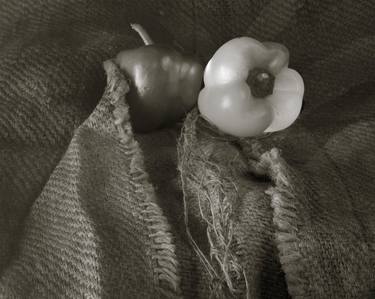 Print of Expressionism Still Life Photography by J Riley Stewart
