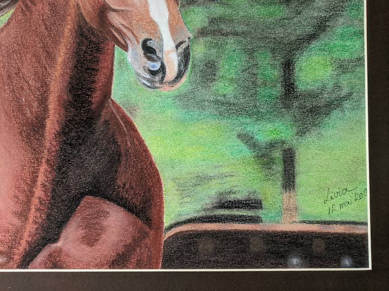 Original Horse Drawing by Livia-Doina Stanciu