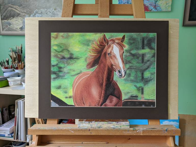 Original Horse Drawing by Livia-Doina Stanciu