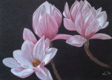 Original Modern Floral Drawings by Livia-Doina Stanciu