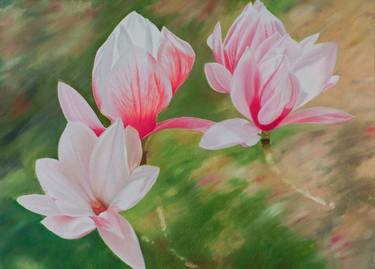 Original Impressionism Floral Paintings by Livia-Doina Stanciu