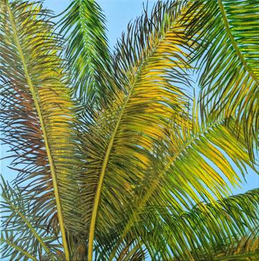 Palm Veil (On the Beach) thumb
