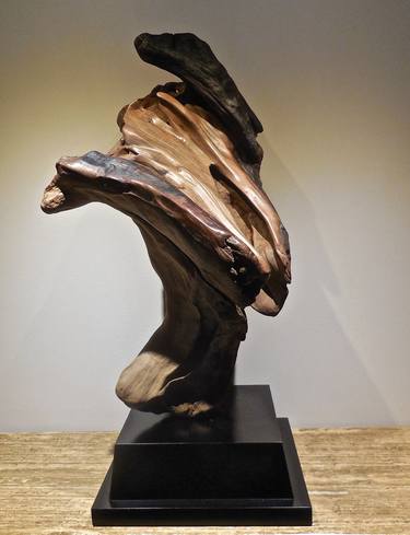 Original Modern Abstract Sculpture by Scott Brunton