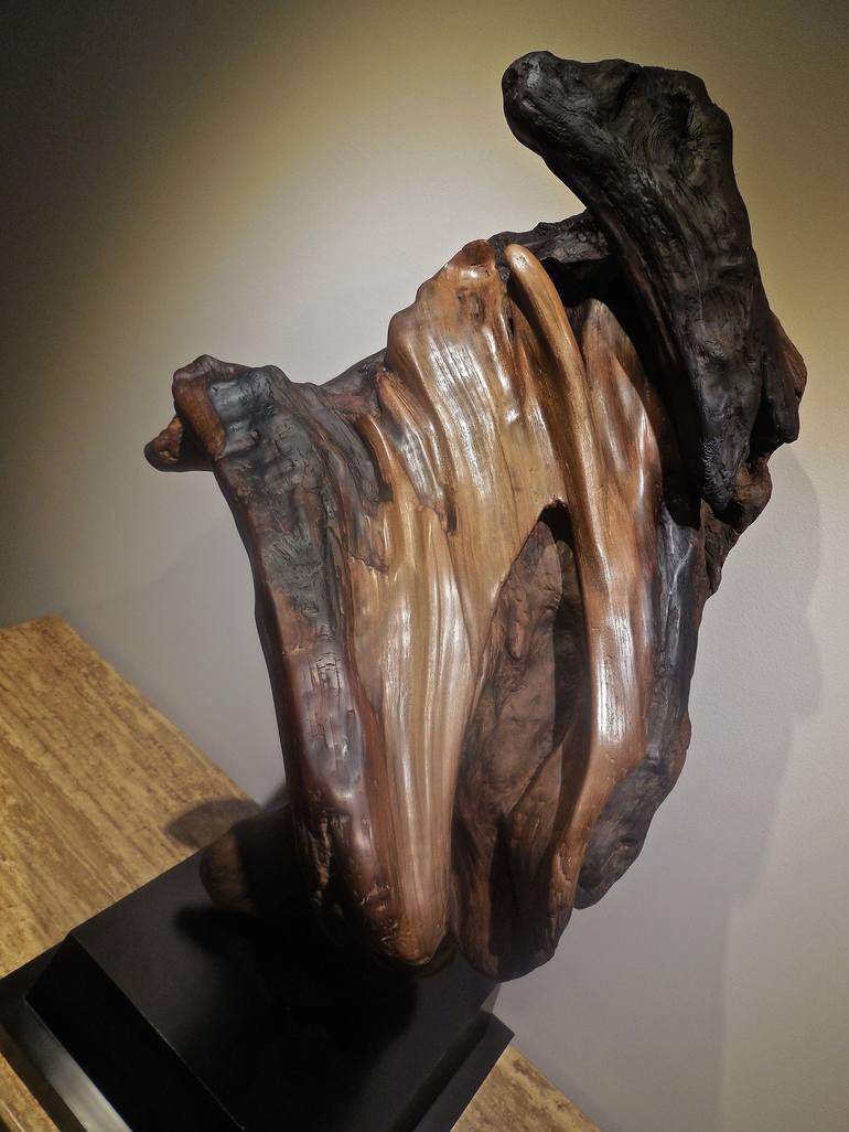 Original Modern Abstract Sculpture by Scott Brunton