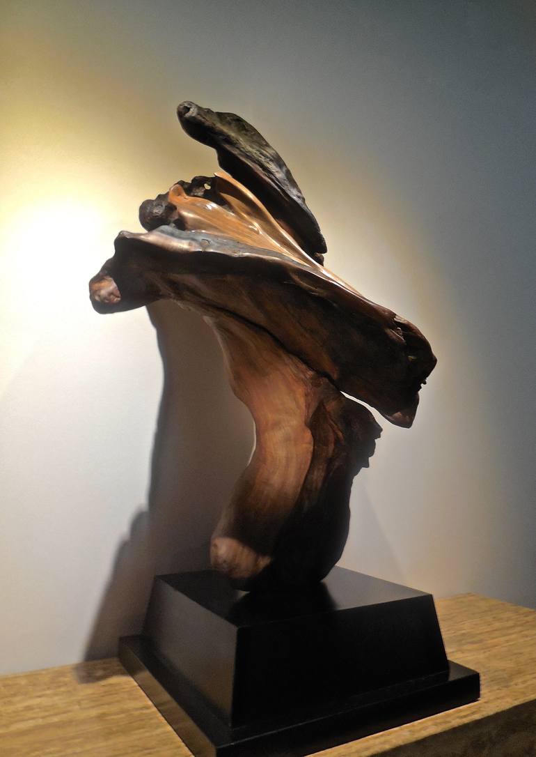 Original Modern Abstract Sculpture by Scott Brunton