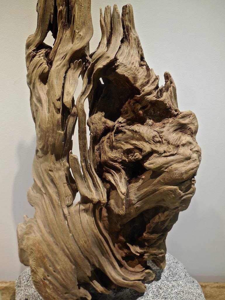 Original organic Abstract Sculpture by Scott Brunton