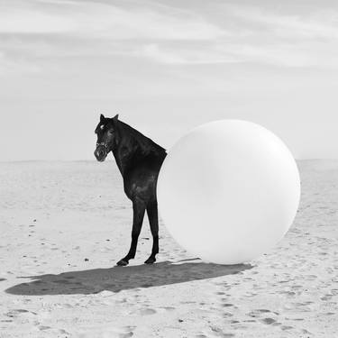 Original Art Deco Horse Photography by Olha Stepanian