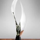 SeeThrough (Polished) by Kevin Caron