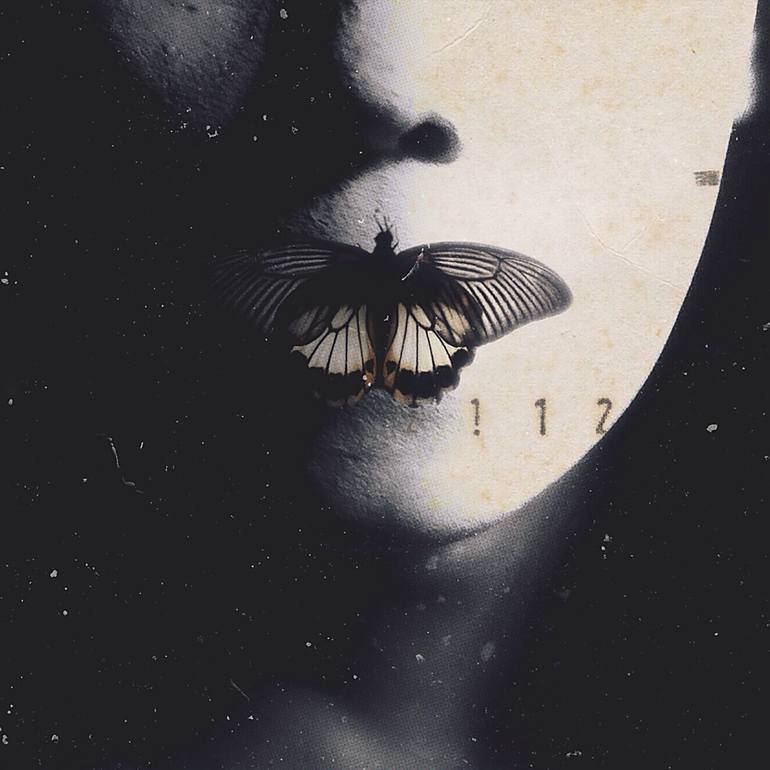 Butterfly Effect - Limited Edition of 3 Mixed Media by Ade Santora ...