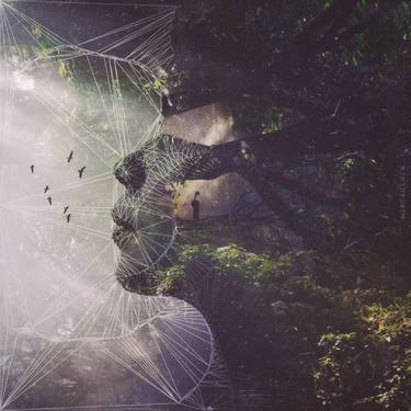 Original Nature Mixed Media by Ade Santora