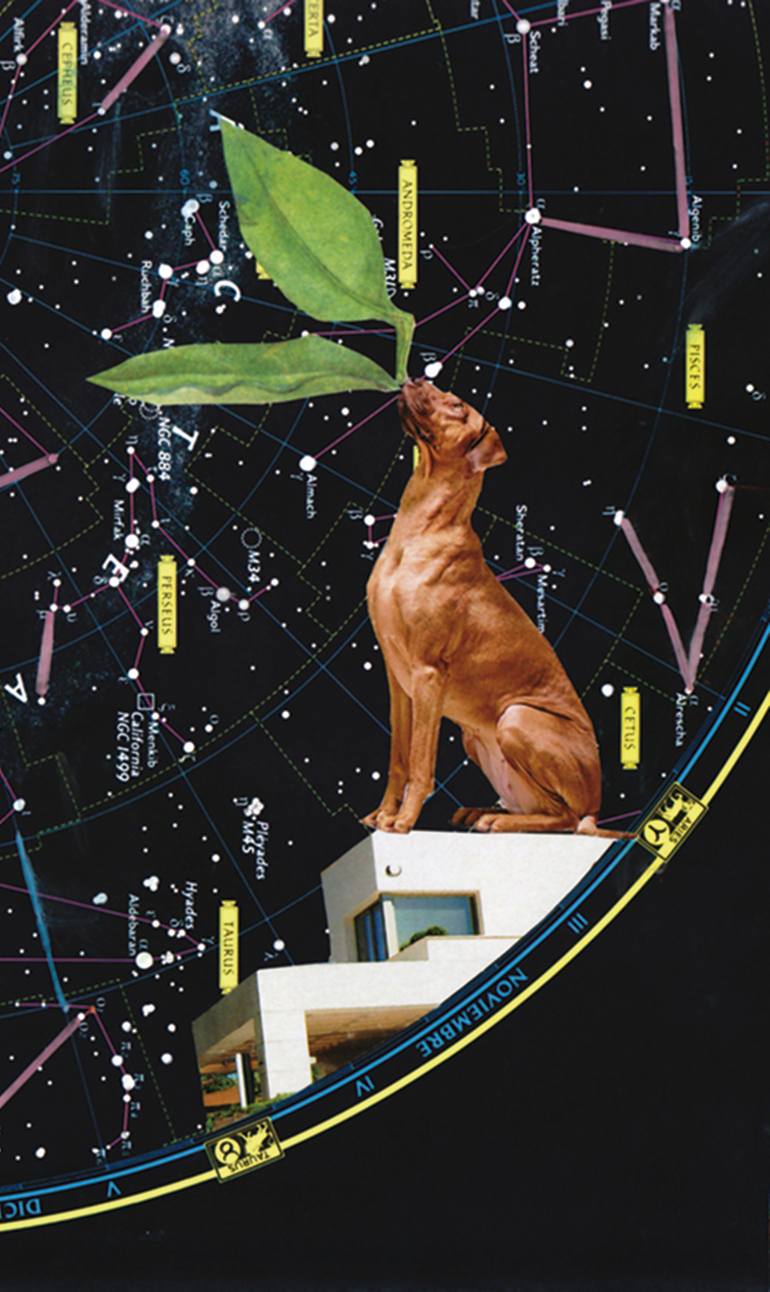 Original Figurative Landscape Collage by Mónica Alonso-Lamberti