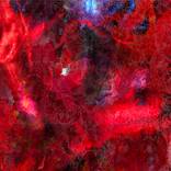 cycle - Limited Edition of 1 by Anan Anantawong