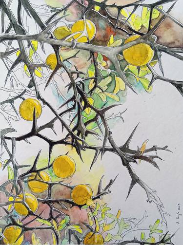 Original Fine Art Garden Paintings by Andrea Lacher-Bryk