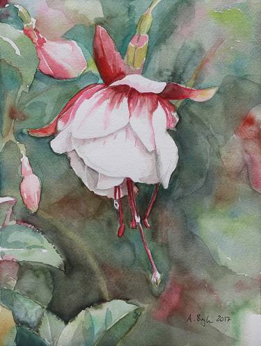 Print of Fine Art Floral Paintings by Andrea Lacher-Bryk