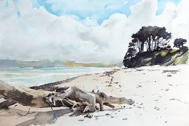 Original Fine Art Beach Paintings by Andrea Lacher-Bryk