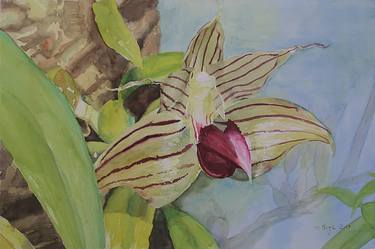 Print of Fine Art Floral Paintings by Andrea Lacher-Bryk