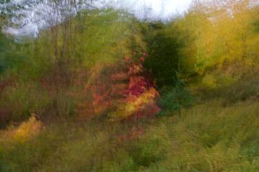 Original Abstract Expressionism Nature Photography by Motty Levy