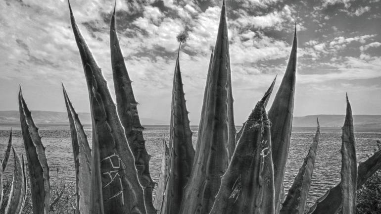 Original Abstract Expressionism Landscape Photography by Motty Levy
