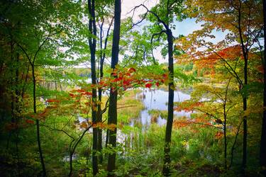 Print of Fine Art Nature Photography by Motty Levy