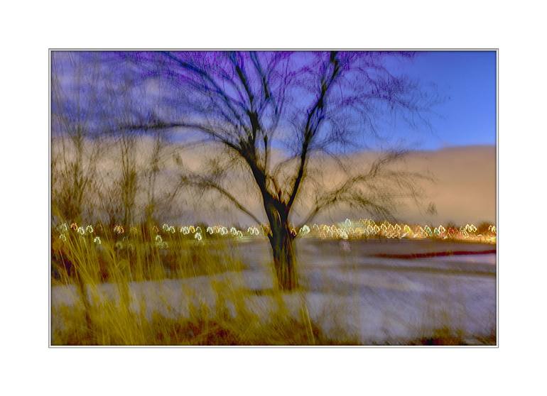 Original Nature Photography by Motty Levy | Expressionism Art on Paper | Night bliss. With a limited edition of 15