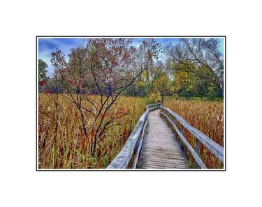 Print of Fine Art Nature Photography by Motty Levy