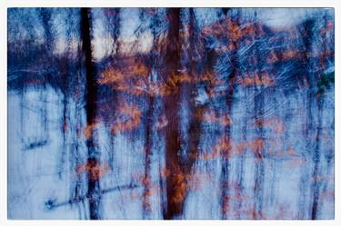 Print of Abstract Expressionism Nature Photography by Motty Levy