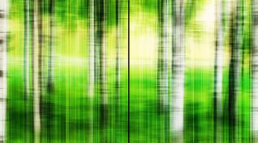 Original Abstract Expressionism Landscape Photography by Andrej Barov