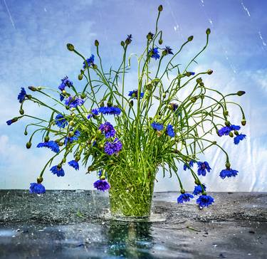 Original Conceptual Floral Photography by Andrej Barov