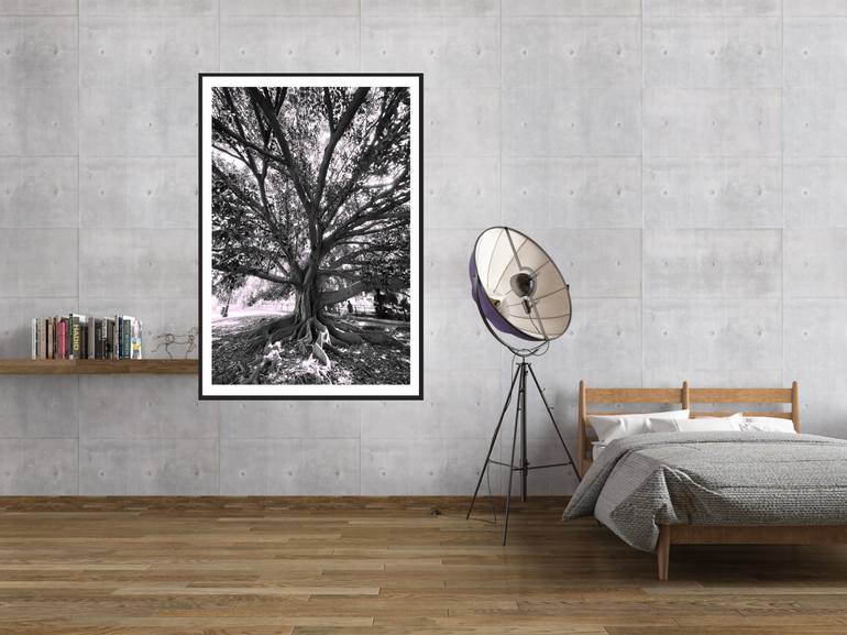 Original Classicism Nature Photography by Tatiana Zappa