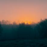 Red Morning by Tatiana Zappa