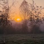 Cold Morning by Tatiana Zappa