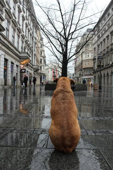 Original Street Art Animal Photography by Anchy Vasiljevic