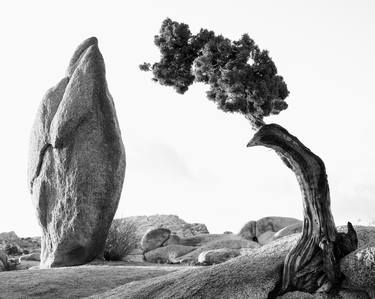 Lone Pine - Limited Edition of 5 thumb