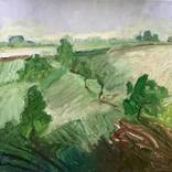 Green fields by Urban Hedin